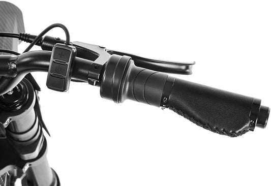 G70 2000W Dual Battery Fast Electric Cargo Bike